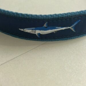 Blue Shark Pattern Belt for boys by Preston
